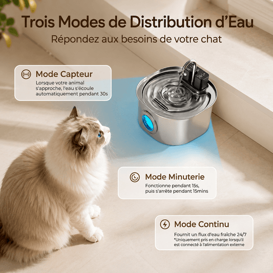 Fontaine à eau pour chat : trois modes de distribution d'eau