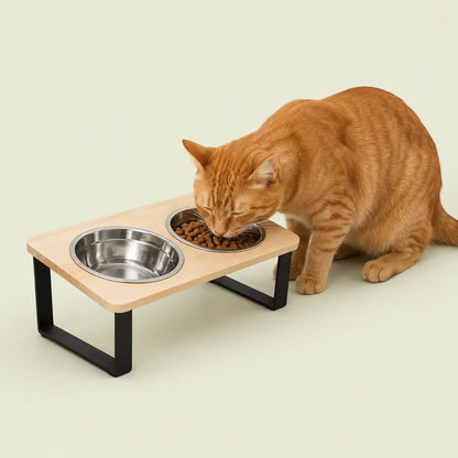 Chat roux mangeant des croquettes dans la gamelle double surélevée en bambou