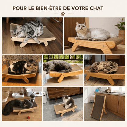 Mosaïque de chats de différentes races utilisant un griffoir lounge en bois — pour le bien-être de votre chat