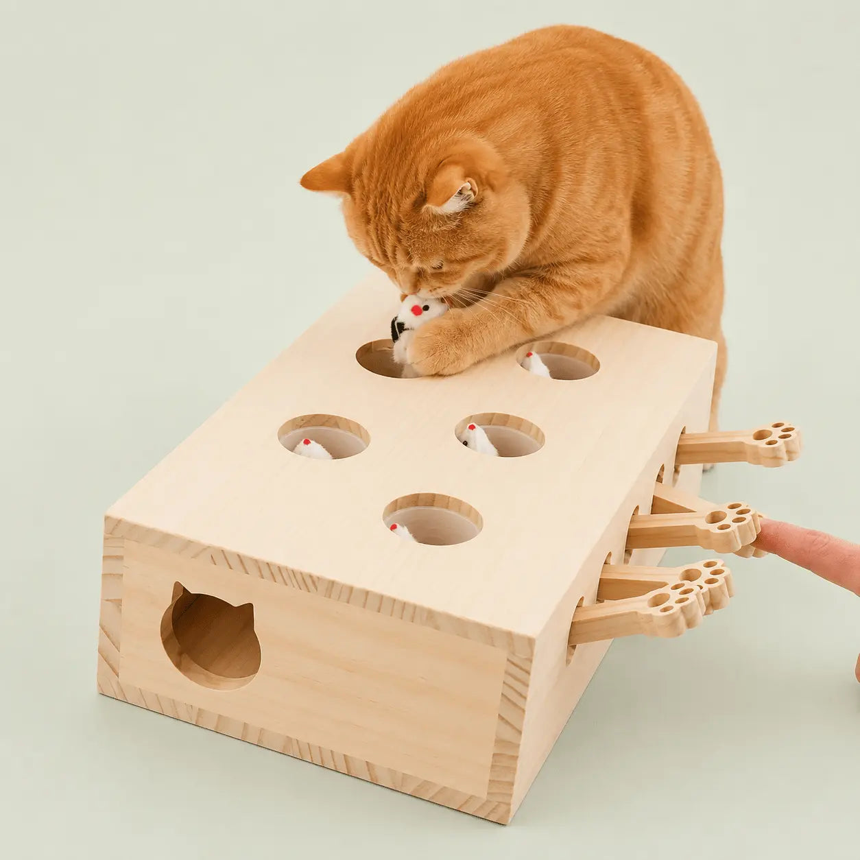 Chat roux plongeant la patte dans un trou du jouet en bois pendant qu'un doigt actionne un bâtonnet en patte