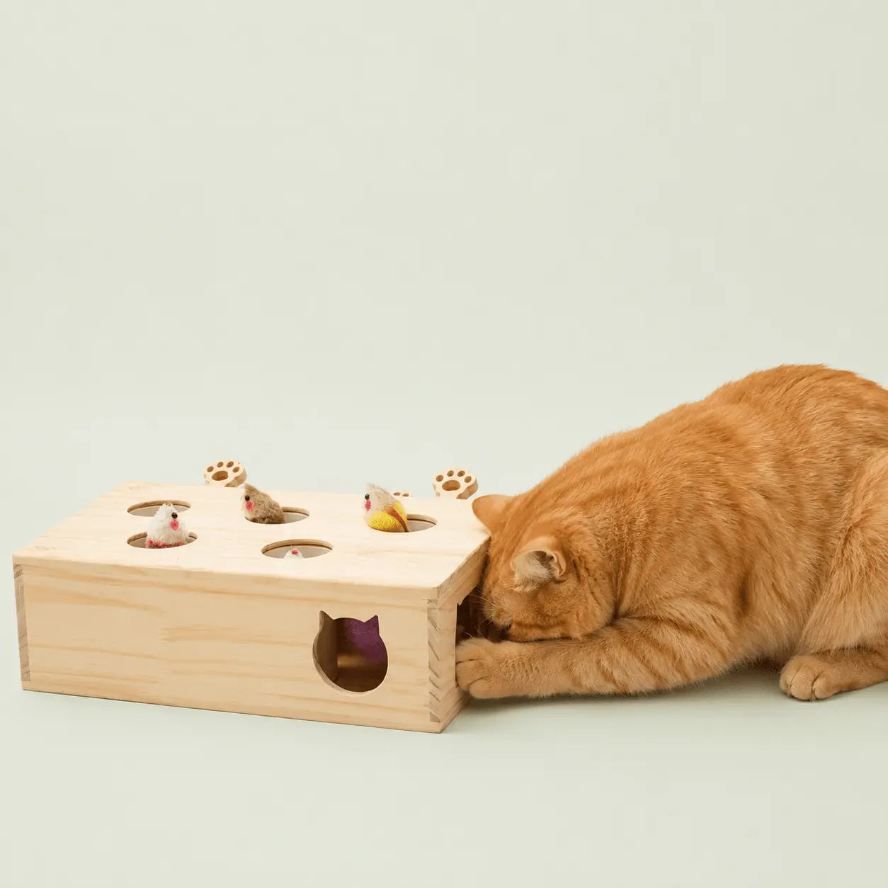 Chat roux allongé glissant sa patte dans l'ouverture latérale en tête de chat du jouet en bois
