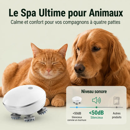 Chat et chien détendus près du masseur électrique blanc, niveau sonore inférieur à 50 dB