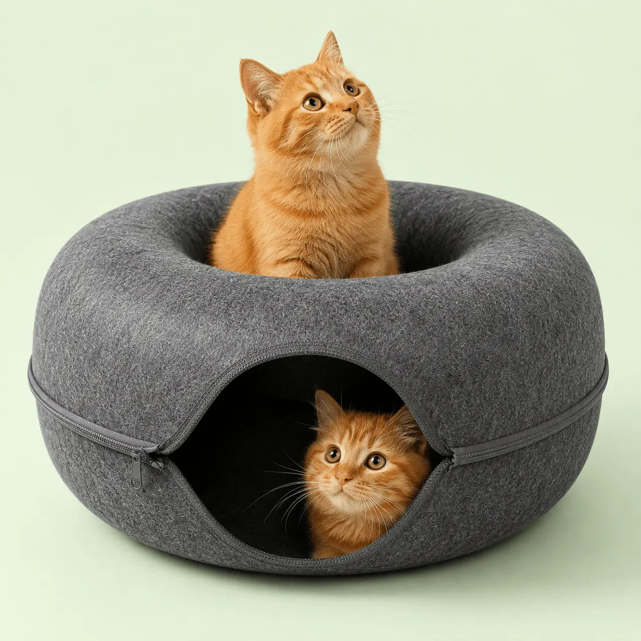 Deux chats roux dans un lit-tunnel donut en feutre gris, l'un assis dans le nid, l'autre dans le tunnel