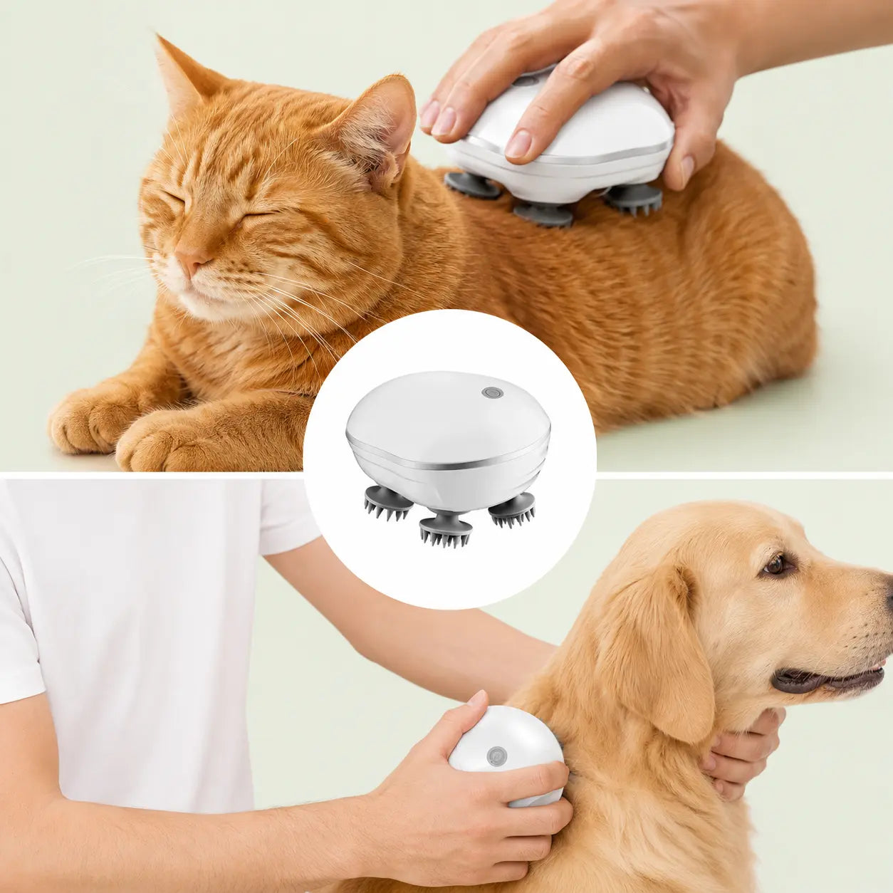 Masseur électrique utilisé sur un chat roux et un chien golden, avec le produit blanc en médaillon