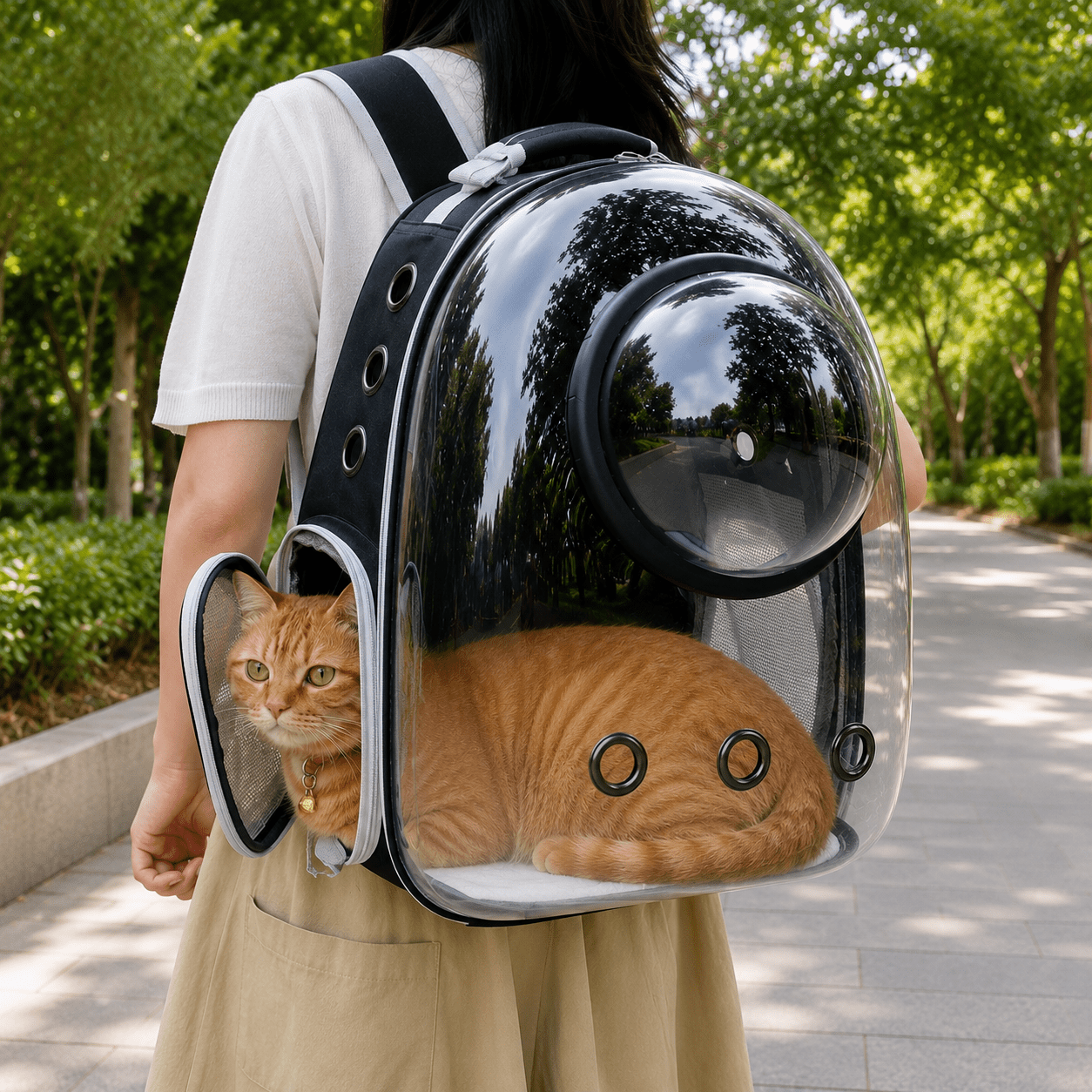 Chat roux détendu dans le sac à dos bulle transparent porté sur le dos, dans une allée bordée d'arbres