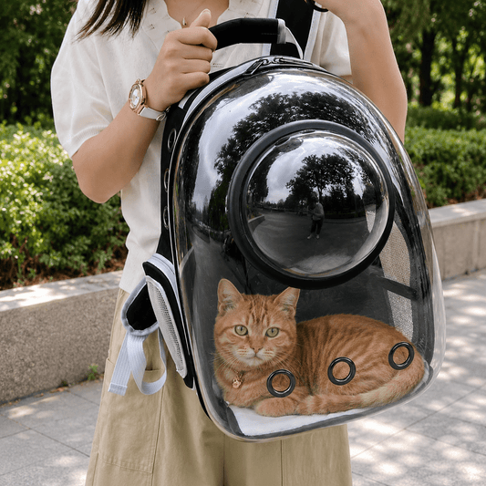 Femme portant le sac à dos bulle transparent devant elle, un chat roux visible à travers le hublot, dans un parc