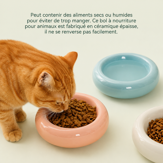 Chat roux mangeant des croquettes dans un bol donut en céramique rose, à côté d'un bol bleu et d'un bol blanc — céramique épaisse qui ne se renverse pas