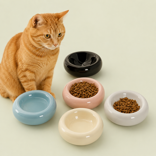 Chat roux assis près de quatre bols donut en céramique pour chat : bleu, rose, blanc et crème, remplis de croquettes 