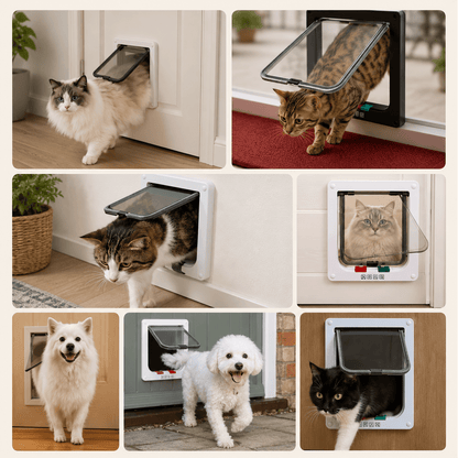 Collage de chats et petits chiens utilisant une chatière – différentes races et couleurs de cadres blanc et noir