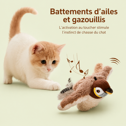 Chaton en position de chasse devant l'oiseau en peluche qui gazouille et bat des ailes