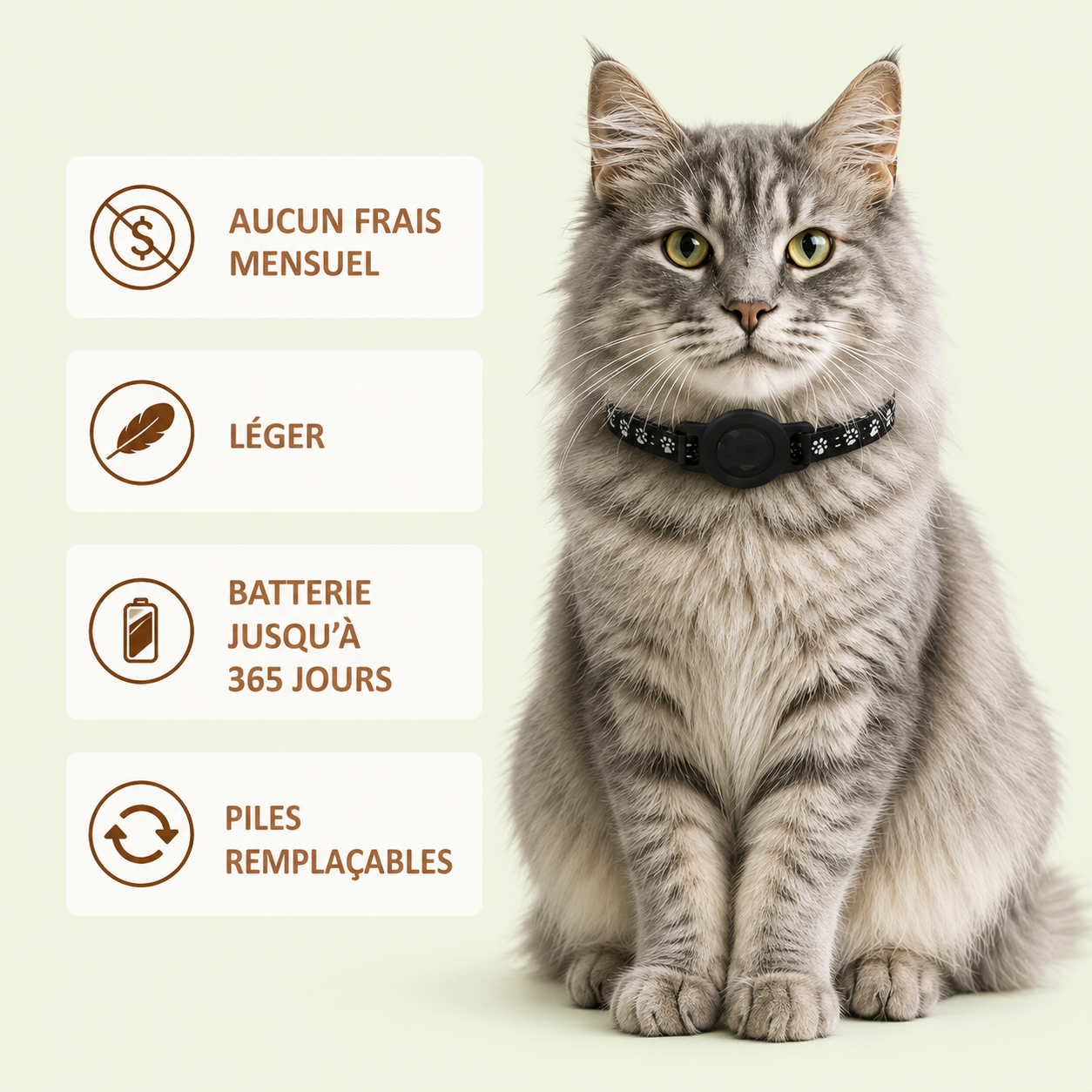 Chat gris portant un collier avec traceur AirTag – aucun frais mensuel, léger, batterie jusqu'à 365 jours, piles remplaçables