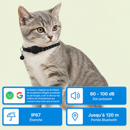 Chat gris portant un collier noir avec traceur GPS – étanche IP67, son 80-100 dB, portée Bluetooth 120 m, compatible Apple et Google