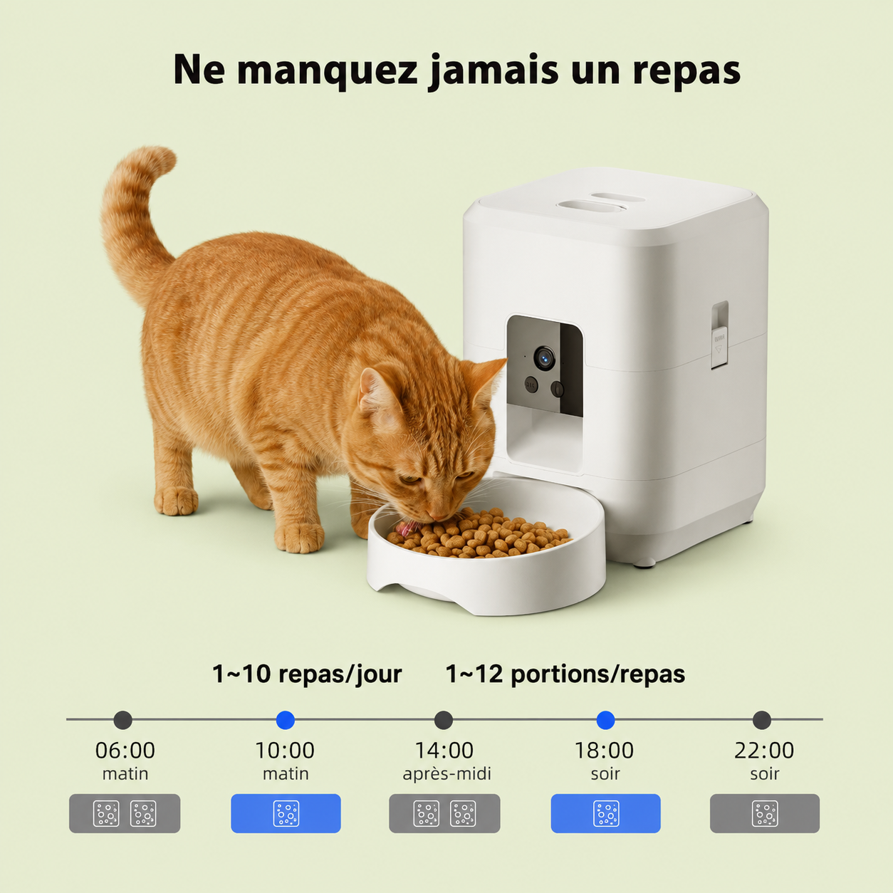 Chat roux mangeant au distributeur automatique : programmation de 1 à 10 repas par jour et 1 à 12 portions par repas