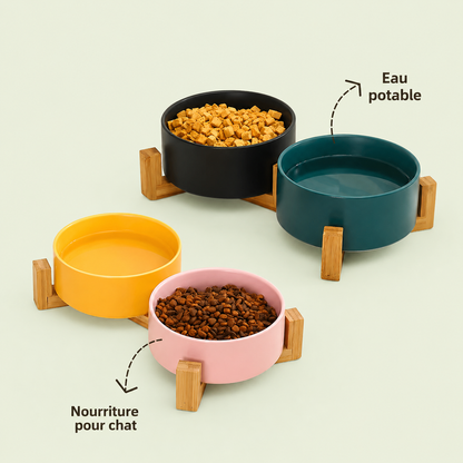 Double gamelle pour chat : un bol eau et un bol nourriture, plusieurs coloris