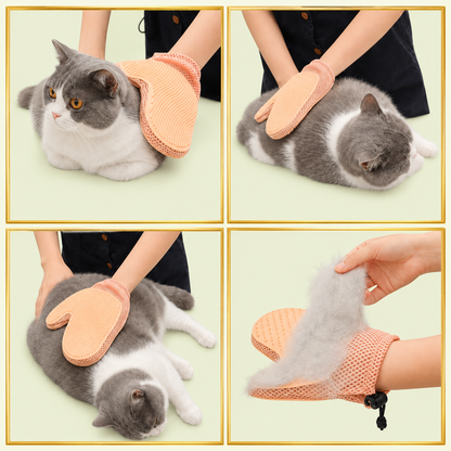 Gant de toilettage abricot utilisé sur un chat gris et blanc, poils morts retirés du gant