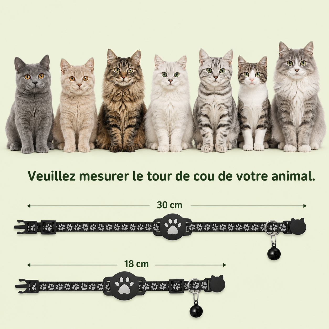 Guide des tailles collier pour chat avec support AirTag – tailles 18 cm et 30 cm, avec 7 races de chats