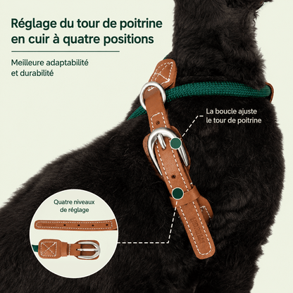 Boucle en cuir du harnais pour chat avec quatre positions de réglage du tour de poitrail
