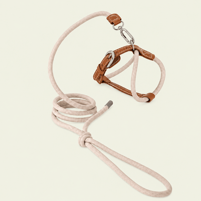 Ensemble harnais et laisse pour chat coloris marron lait avec finitions en cuir