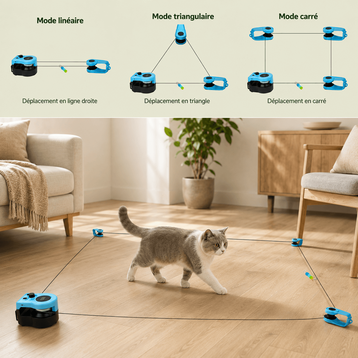 Trois circuits du jouet de chasse pour chat : ligne droite, triangle et carré
