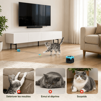 Jouet de chasse pour chat en action dans un salon, contre l'ennui, les griffades et le surpoids