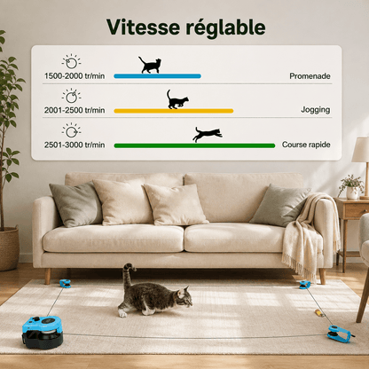 Vitesse réglable du jouet de chasse pour chat, de 1500 à 3000 tours par minute