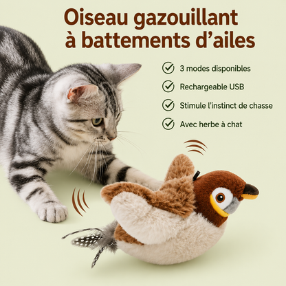 Chat tigré gris jouant avec l'oiseau en peluche : 3 modes, recharge USB et herbe à chat