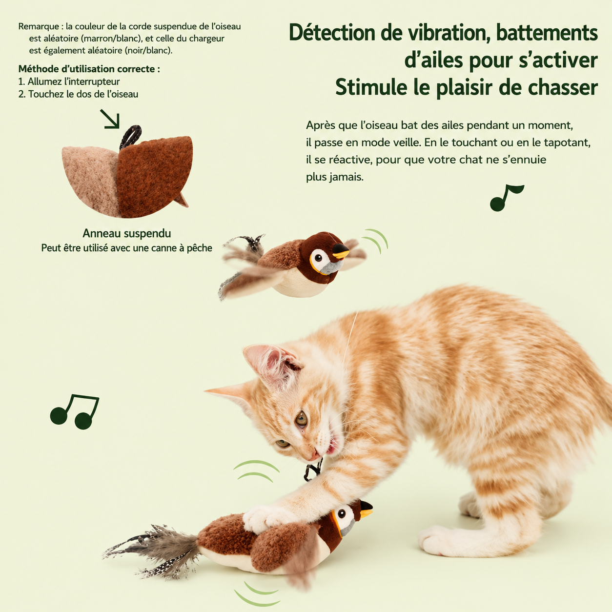 Détection de vibration et anneau de suspension de l'oiseau en peluche, avec chat roux qui joue