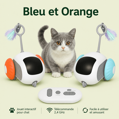Voiture interactive pour chat en bleu et orange avec télécommande sans fil 2,4 GHz