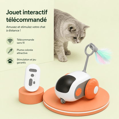 Chat observant la voiture interactive télécommandée avec son plumeau coloré