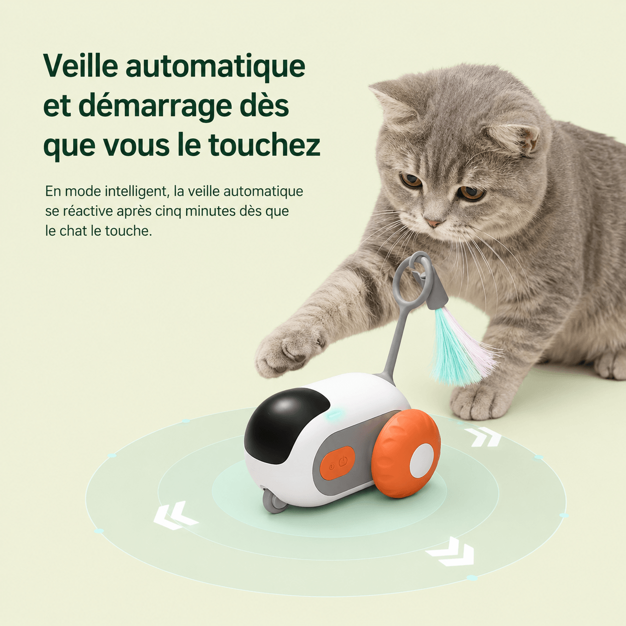 Chat réactivant la voiture interactive d'un coup de patte après la veille automatique