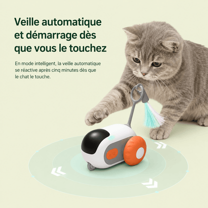 Chat réactivant la voiture interactive d'un coup de patte après la veille automatique